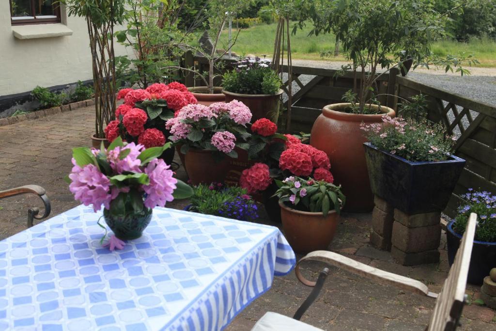 Bed & Breakfast Хорсенс Екстер'єр фото